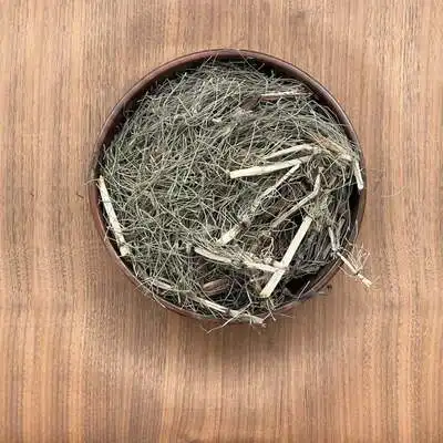 گیاه دم اسب